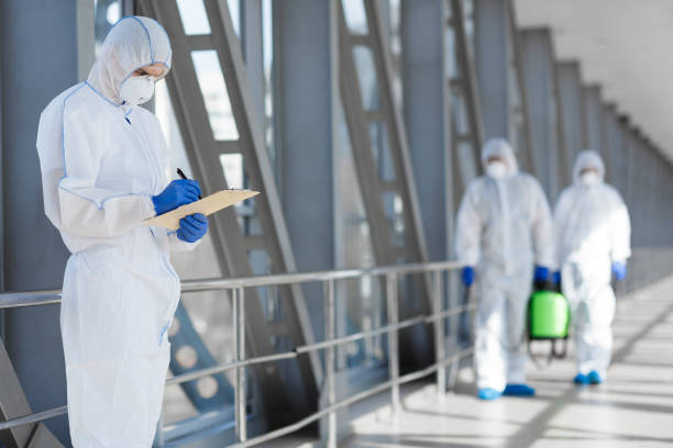 Best Mold Prevention Services  in Lauderdale, MN