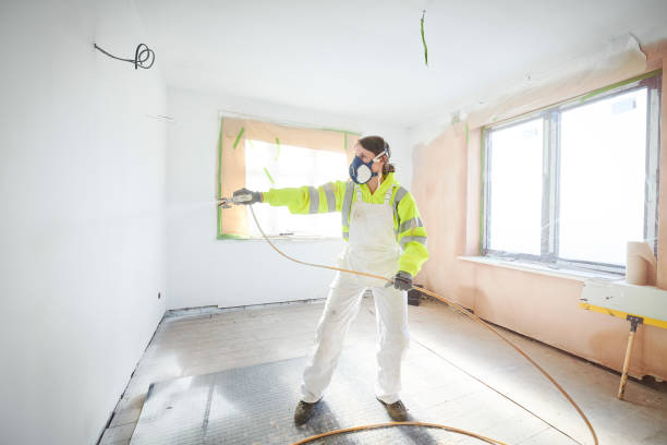 Best Attic Mold Removal  in Lauderdale, MN