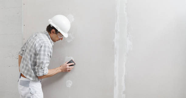 Best Post-Construction Mold Inspection  in Lauderdale, MN