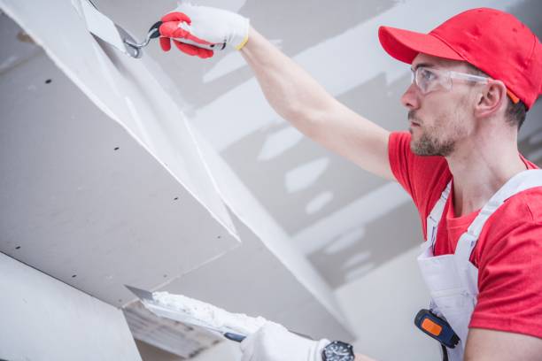 Best Mold Remediation for Healthcare Facilities  in Lauderdale, MN